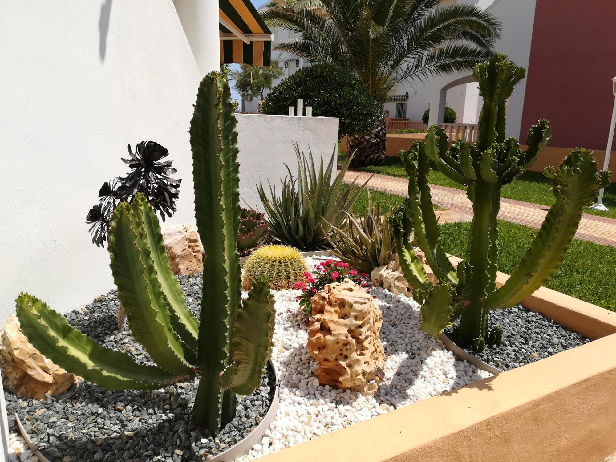 Apartamentos Talima - Btb Dénia Esterno foto